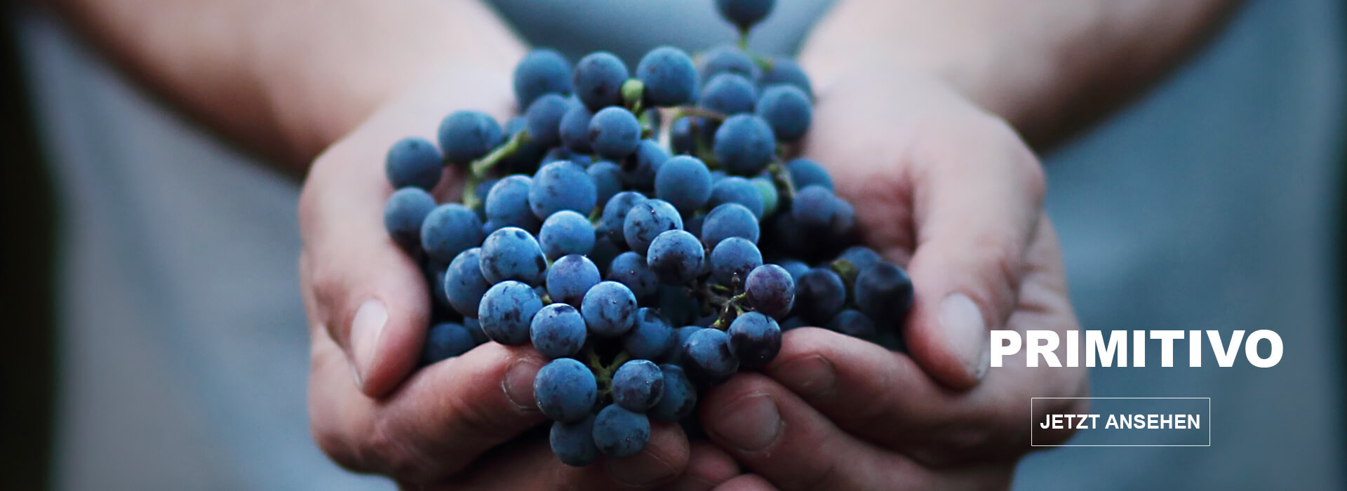 Im Trend: Primitivo