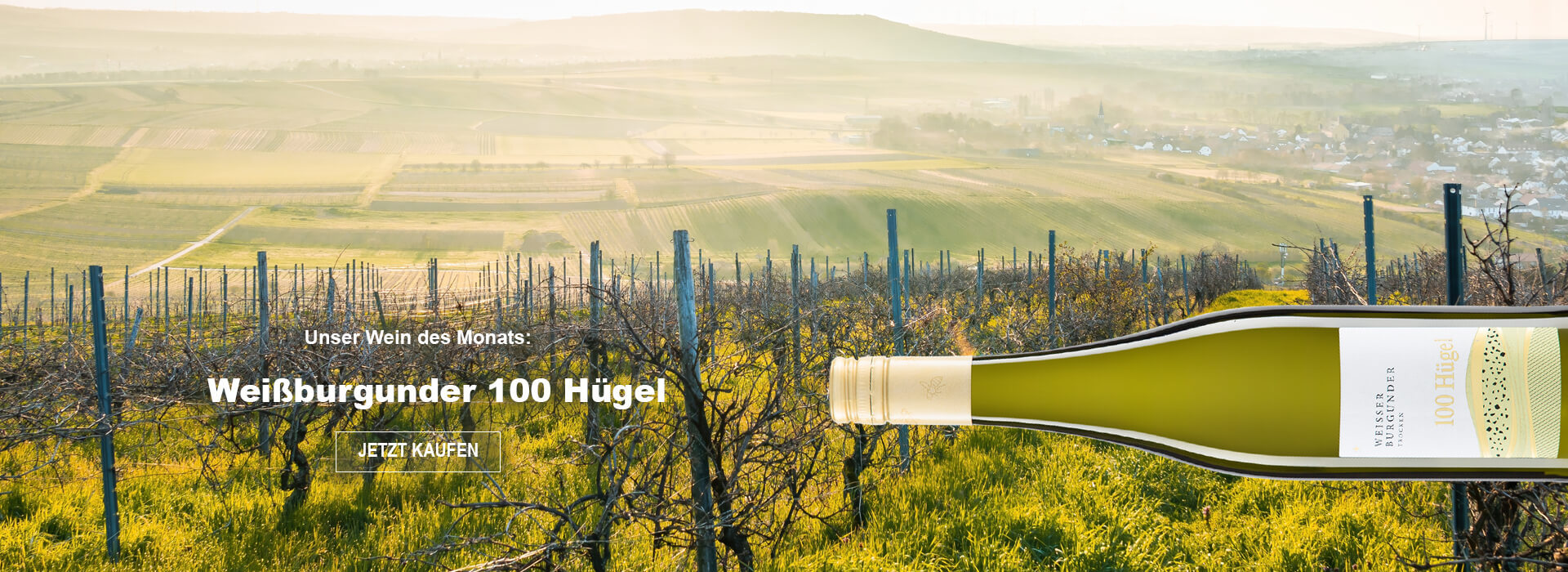 Unser Wein des Monats: Weißburgunder 100 Hügel Immel