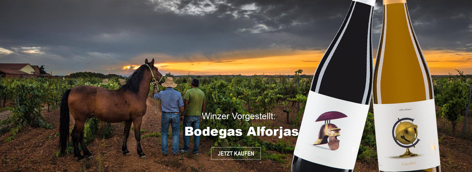 Winzer Vorgestellt: Bodegas Alforjas