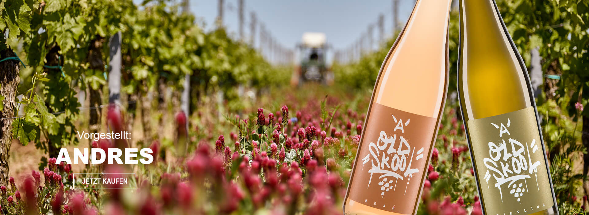 Winzer Vorgestellt: Weingut Andres